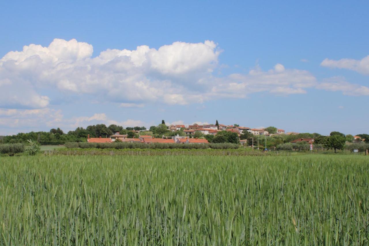 Villa Nel Rosa Poreč Exterior foto